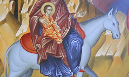 38 erstes Licht Esel