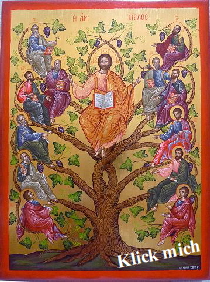 Der Weinstock Christi