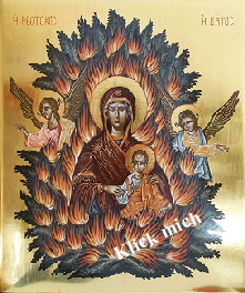 der unverbrennbare Dornbusch