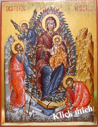 H Batos - unverbrennbarer Dornbusch