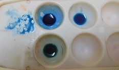 13 Goldlinien feines  (2) kl