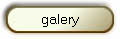 galery