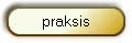 praksis